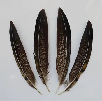 En-gros de 100buc 10-15cm Naturale Pui Pheasnt Plumas Pene Pentru Masca de Decor Bijuterii DIY Meserii Show-Accesorii Pene